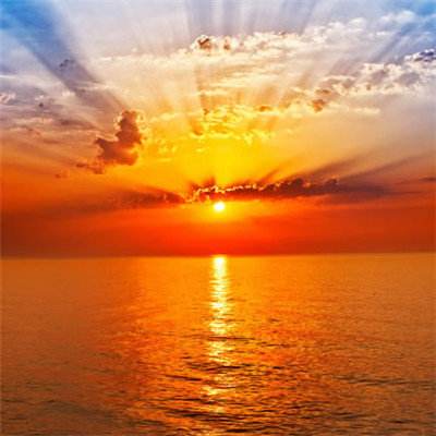 细菌大战2选关版